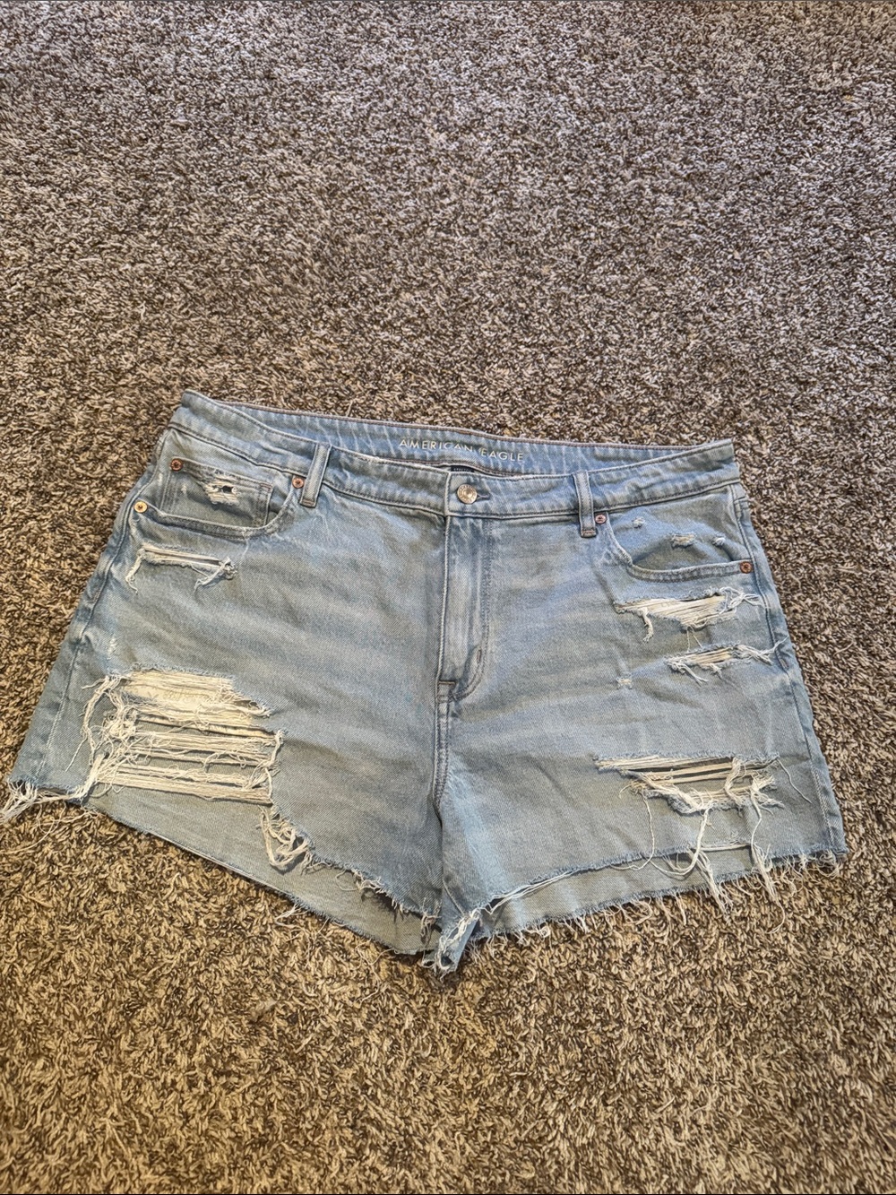 American Eagle Outfitters Light Blue Ripped Denim Shorts